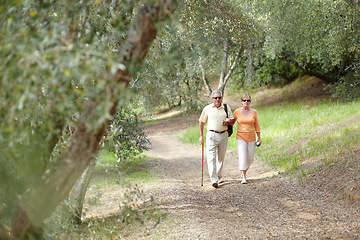 Image showing Hiking, forest and senior couple with walking stick, fitness and retirement exercise, wellness support or path in nature. Elderly people in woods for cardio, eco travel and health journey or trekking