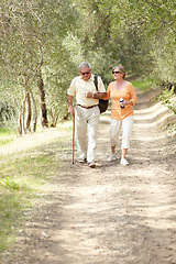 Image showing Hiking, nature and senior couple with walking stick, fitness and retirement exercise, wellness support or path in forest. Elderly people in woods for cardio, eco travel and health journey or trekking