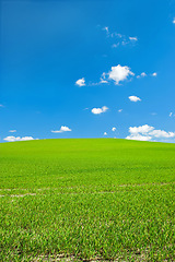 Image showing Space, clouds and blue sky with landscape of field for nature farm mockup, environment and ecology. Plant, grass and horizon with countryside meadow for spring, agriculture and sustainability