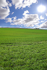 Image showing Environment, clouds and blue sky with landscape of field for farm mockup space, nature and ecology. Plant, grass and horizon with countryside meadow for spring, agriculture and sustainability