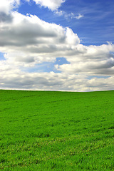 Image showing Grass, clouds and blue sky with landscape of field for farm mockup space, environment and ecology. Plant, nature and horizon with countryside meadow for spring, agriculture and sustainability