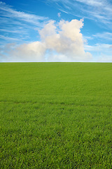 Image showing Green, clouds and blue sky with landscape of field for farm mockup space, environment and ecology. Plant, grass and horizon with countryside meadow for spring, agriculture and sustainability