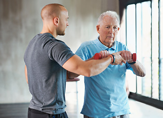 Image showing Physiotherapist, senior man and weight workout for health and wellness therapy in retirement. Healthcare, physio and exercise for recovery with dumbbell for medical wellbeing and elderly male person