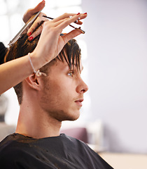 Image showing Hair scissors, person and hairstylist cutting healthy hairstyle, grooming and cleaning in studio salon. Hairdressing tools, wellness or profile client, stylist or hairdresser doing texture treatment