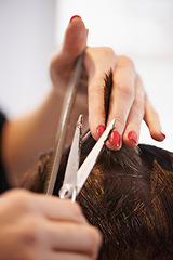 Image showing Hair scissors, person and hairstylist hands cutting hairstyle, grooming and cleaning in studio salon. Hairdressing tools, wellness or closeup people, stylist or client for haircare texture treatment