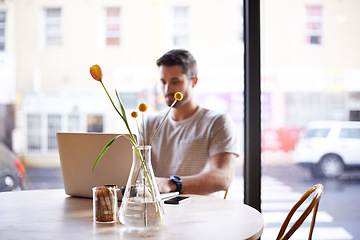Image showing Coffee shop, flower vase and man with laptop and plant doing code work in a cafe. Tech, interior and male freelancer customer at a restaurant with mockup and writing with focus on web coding
