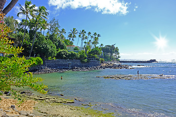 Image showing Tropical sea, trees and sky by landscape with buildings, nature and beach with summer sunshine. Outdoor, Hawaii and natural ocean environment with palm tree, clouds and water by island with horizon