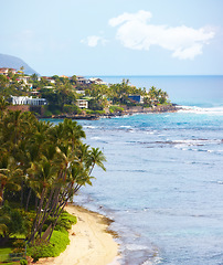 Image showing Tropical beach, trees and sky by landscape with nature, buildings and ocean with summer sunshine. Outdoor, Hawaii and natural sea environment with palm tree, sand and water by island with horizon