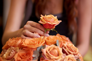 Image showing Closeup, hands and woman with flowers, entrepreneur and prepare order for a customer, nature and bouquet. Zoom, female person or business owner with plants, floral arrangement or florist with startup