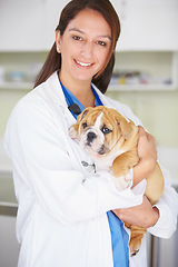 Image showing Woman vet, puppy and clinic portrait with smile, care and love for health, wellness or growth. Female veterinarian, doctor and dog with hug, happiness and healthcare in hospital for medical attention