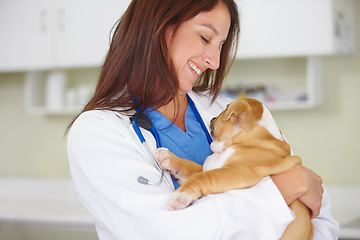 Image showing Woman vet, puppy and animal hospital with smile, care and love for health, wellness or growth. Female veterinarian, doctor and dog with hug, happiness and healthcare in clinic for medical attention