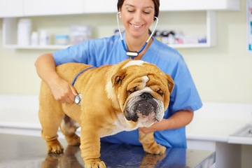 Image showing Heartbeat, happy doctor or dog at vet or animal healthcare clinic check up in nursing consultation. Smile, friendly nurse or sick bulldog pet or puppy in examination or medical test for veterinary