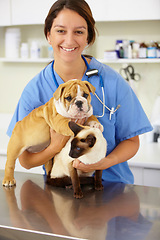 Image showing Portrait, vet and woman with animals, clinic and care with help, care and support with a smile, charity work and empathy. Face, female person or veterinarian with a cat, bulldog and medical treatment