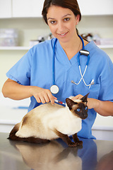 Image showing Injection, doctor portrait or cat at vet or animal healthcare clinic checkup in nursing consultation. Friendly smile, nurse or sick pet or Siamese kitten in veterinary examination or medical vaccine