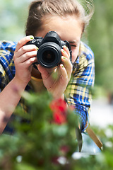 Image showing Woman, camera and photography in nature for flower, plant and growth in garden, park and summer sunshine. Girl, photographer and travel in countryside with red flowers, memory and outdoor with leaves