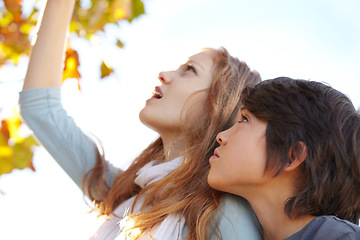 Image showing Learning, leaf and trees with children in nature for autumn, environment and explore. Study, education and season with young girl and boy with research in park for leaves, discovery and adventure