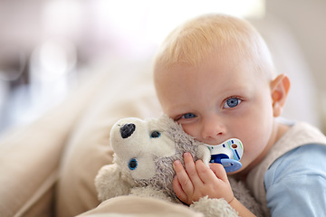 Image showing Cute, relax and portrait of a baby with a toy for comfort, sleep and playing in a house. Adorable, pacifier and a little child with a bear on the living room sofa for calm, relaxing and play