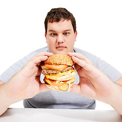 Image showing Plus sized, eating and man holding burger, unhealthy diet and isolated hungry person and white background. Junk food, weight loss and healthcare problem, male with bad food addiction in studio.