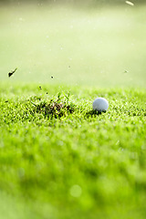 Image showing Grass, sports and a ball for golf on a course for a game, competition or training. Fitness, turf and a missed shot on a lawn for professional sport, hobby or recreation on a field for an activity