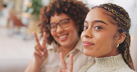 Image showing Woman, friends and peace sign for selfie, vlog or profile picture together with facial expression at home. Happy women smiling for photo, memory or funny online social media post in friendship