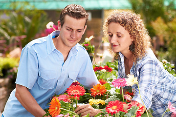 Image showing Garden, greenhouse flower and couple with plant shopping and choice with gardening. Floral, spring sale and woman with a man together with daisies purchase for backyard with a smile at outdoor shop