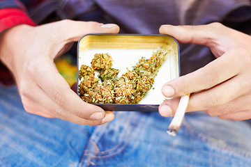 Image showing Marijuana, bud or hands with weed joint for calm peace to relax or help reduce pain, stress or anxiety. Cannabis head plants, smoking or closeup of person showing a blunt for mental health benefits