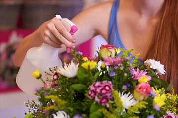 Image showing Flowers, spray water and woman florist with bouquet in store for order, floral gift and service. Spring, nature and female person spraying flower arrangement for moisture, healthy plants and bloom