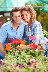 Image showing Garden love, greenhouse flower and couple with plant shopping and choice with gardening. Floral, spring sale and woman with a man together with daisies purchase for backyard with a smile at shop