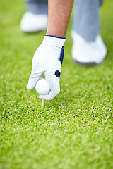 Image showing Golf ball, sports or hand of man on the grass course outside ready to start golfing with gloves for training. Fitness, holding or closeup of athlete golfer with tees or pin on field in game practice