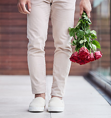 Image showing Love, legs and man with rose bouquet, romance and present giving hope for valentines day date. Romantic confession, floral gift and person holding flowers, standing outside for proposal or engagement