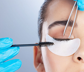 Image showing Woman, lashes and tweezer with mascara, studio closeup and makeup artist in gloves, hands and extension. Girl, model and zoom of face for beauty, cosmetics and brush for aesthetic by gray background