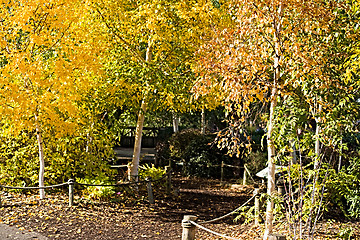 Image showing Autumn walk