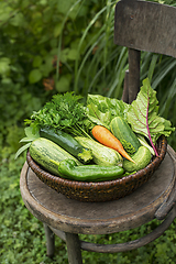 Image showing Vegetable harvest