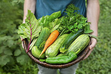 Image showing Vegetable harvest