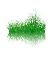 Image showing Grass On Water