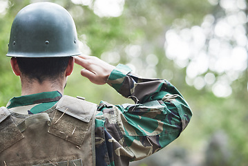 Image showing Army, man back and salute portrait in military of a veteran with security, protection and battle. Male person, soldier and field with surveillance, hero and war leader with camouflage in nature