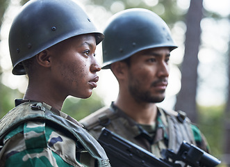 Image showing Serious people, army and ready for war, battle or fight on a mission, hero or service in nature. Man and woman soldier or team preparing security, military or conflict on the battlefield in the woods