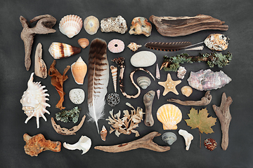 Image showing Natural Assortment of Nature Objects