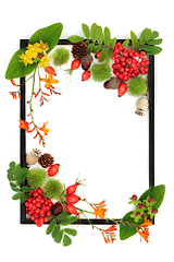 Image showing Samhain Harvest Festival Background Border Frame