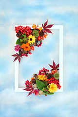 Image showing Colorful Autumn Thanksgiving Nature Background Frame