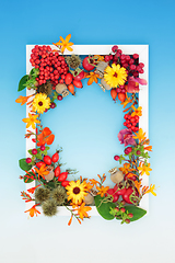 Image showing Harvest Festival Autumn Nature Background Border Frame