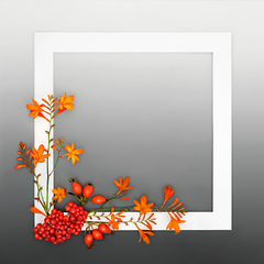 Image showing Autumn Fall Thanksgiving Festive Nature Background