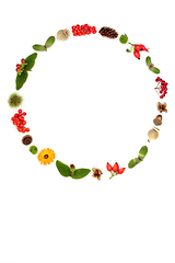 Image showing Autumn Flora and Fauna Thanksgiving Wreath