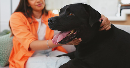 Image showing Woman, dog and care on living room sofa in home for love, touch or embrace for happiness with friends. Doggy mom, couch and lounge with pet, animal or cane corso with smile, relax or bonding together