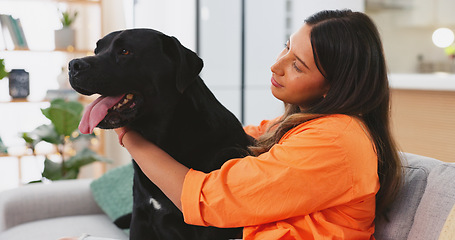 Image showing Woman, dog sitting on sofa in living room and fun, love and happy friendship with pets at home. Friends, quality time with pet and happiness, relax and petting animal on couch. Caring for pet.