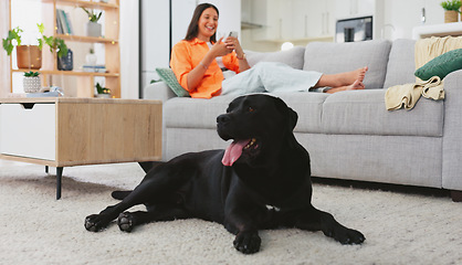 Image showing Relax, selfie and dog with woman on sofa for weekend, break and social media app. Picture, technology and peace with girl and pet in living room at home for cute canine, positive and animal care