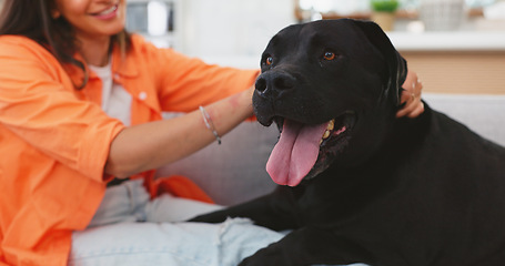 Image showing Woman, dog and love on living room sofa in home for care, touch or embrace for happiness with friends. Doggy mom, couch and lounge with pet, animal or cane corso with smile, relax or bonding together