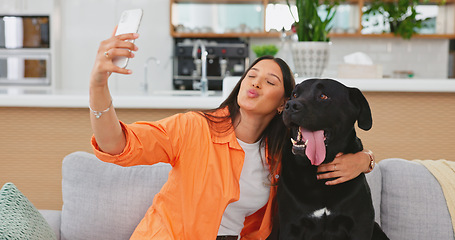 Image showing Woman, dog and selfie on living room sofa in home for care hug, touch and embrace for happy friends. Doggy mom, couch and lounge for pet, animal or social media app with smile, relax and photography