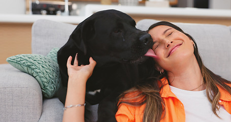 Image showing Relax, sofa and woman pet dog for love, support and animal care in living room for trust, chill and happy. Best friend, cute and owner hands on canine for petting, bonding and quality time together