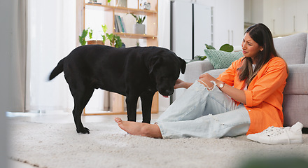 Image showing Woman, sad and dog in a home with pet owner love, support and sadness feeling relax. Dogs scratch, young female care and sad person sitting on a living room floor in a house with a animal